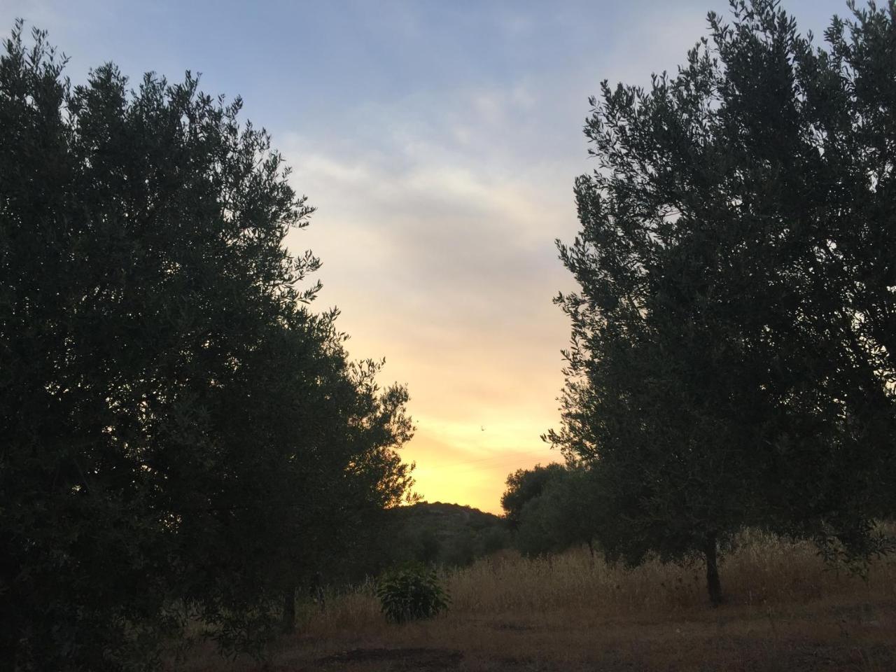 Agriturismo Saccollino San Paolo  Buitenkant foto