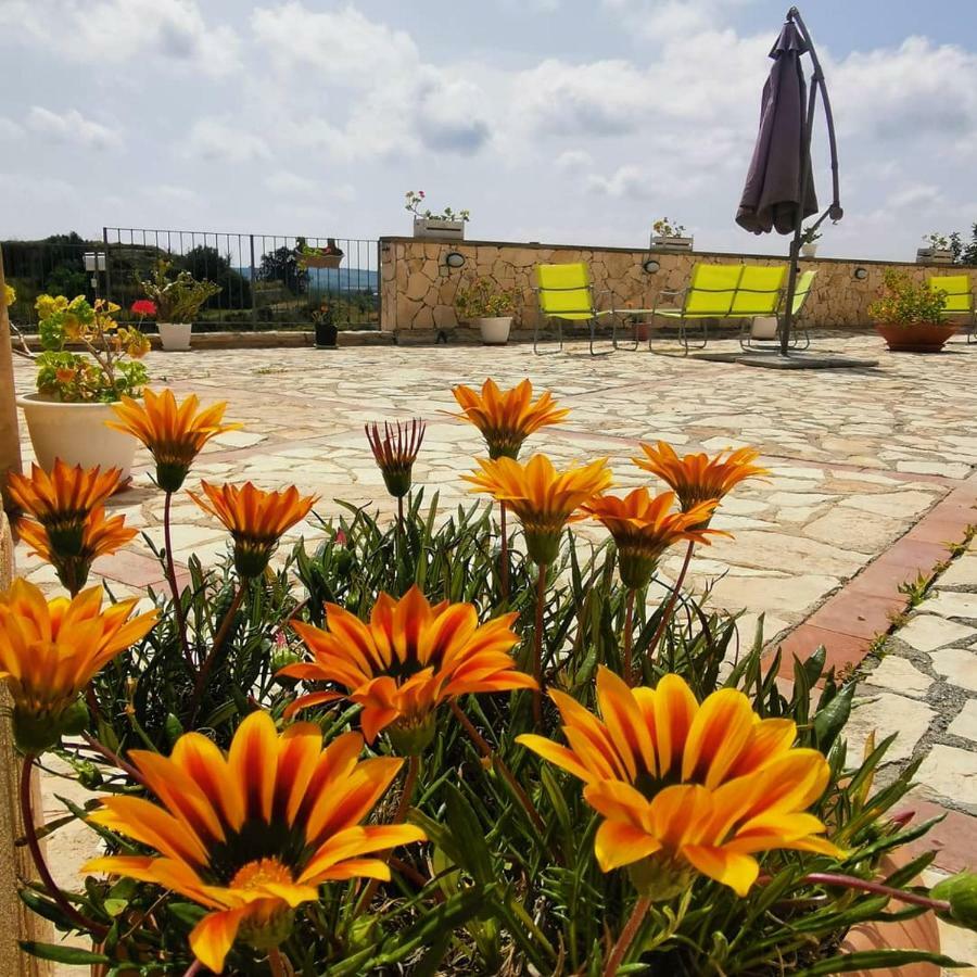 Agriturismo Saccollino San Paolo  Buitenkant foto