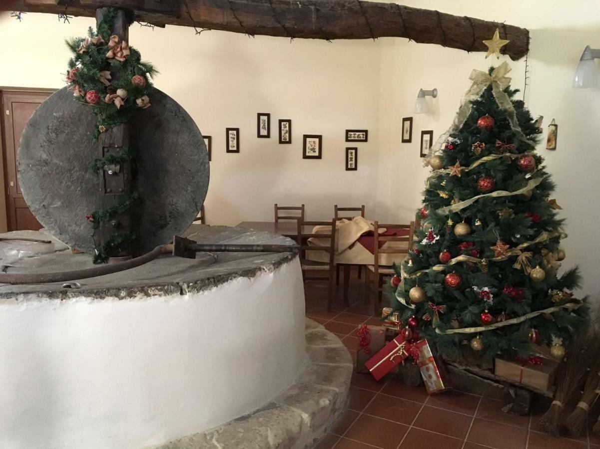 Agriturismo Saccollino San Paolo  Buitenkant foto
