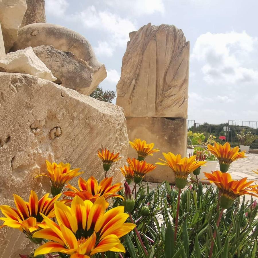 Agriturismo Saccollino San Paolo  Buitenkant foto